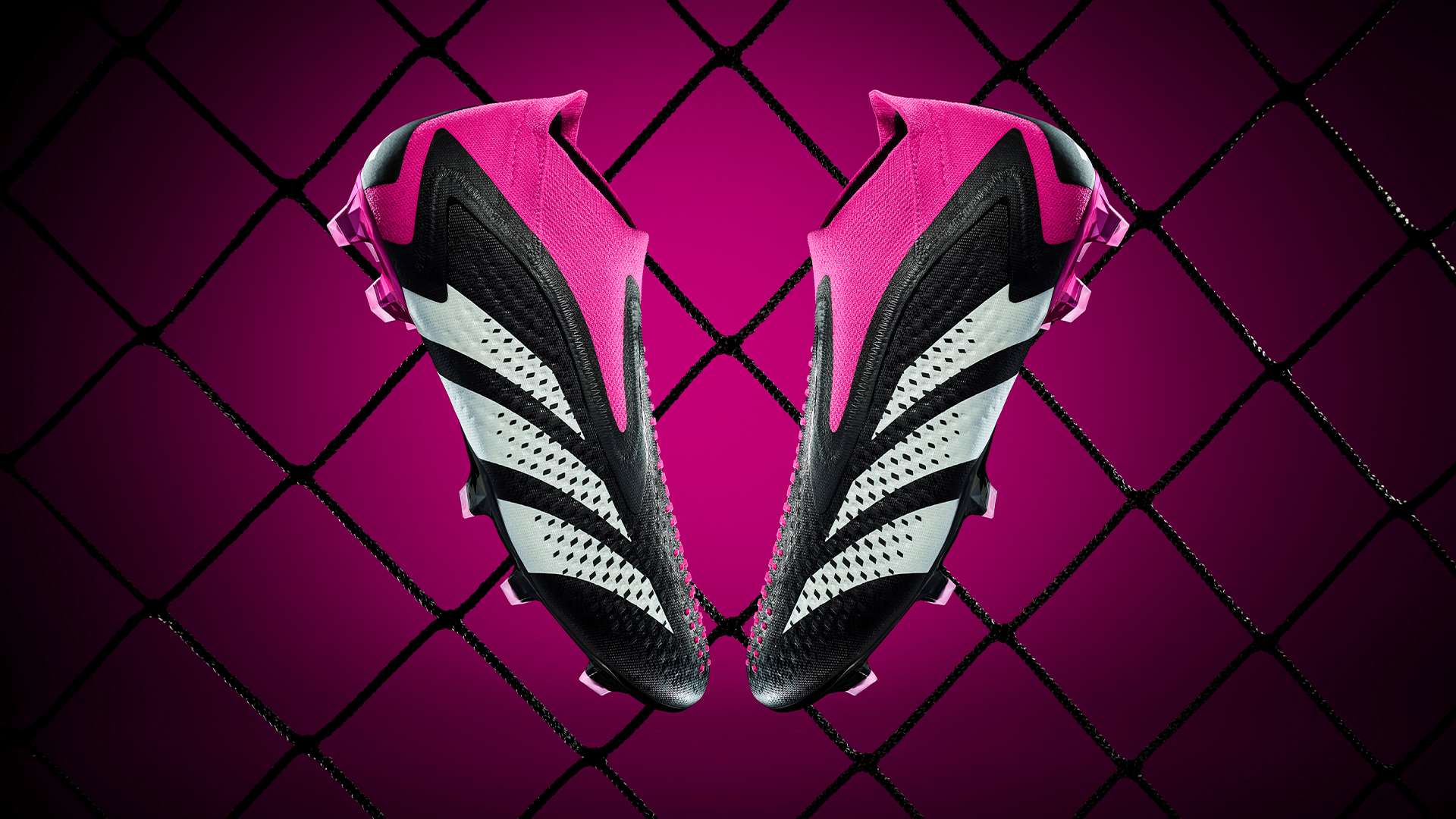 从小小年纪 从小小年纪